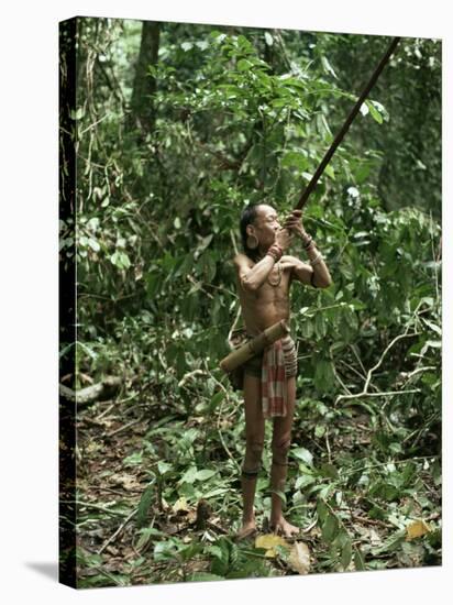 Member of the Penan Tribe with Blowpipe, Mulu Expedition, Sarawak, Island of Borneo, Malaysia-Robin Hanbury-tenison-Stretched Canvas