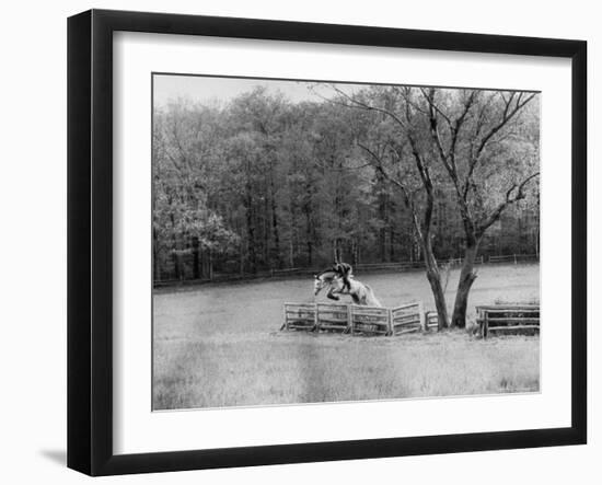 Member of the Us Equestrian Team Jumping the Hurdles in the Fields During the Pre Olympic Practices-Mark Kauffman-Framed Photographic Print