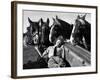 Member of the Women's Land Army a Sleep in the Back of a Hay Cart While the Horses Look On-null-Framed Photographic Print