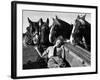 Member of the Women's Land Army a Sleep in the Back of a Hay Cart While the Horses Look On-null-Framed Photographic Print