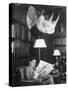 Member Reading Newspaper in Smoking Room at the Harvard Club Beneath a Rhino Head Trophy-Alfred Eisenstaedt-Stretched Canvas