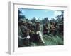 Members of 1st Marine Division Carrying Wounded During Firefight During Vietnam War. South Vietnam-Larry Burrows-Framed Photographic Print