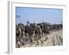 Members of 82nd Airborne-Pool-Framed Photographic Print