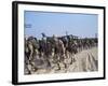 Members of 82nd Airborne-Pool-Framed Photographic Print