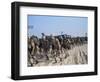Members of 82nd Airborne-Pool-Framed Photographic Print