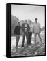 Members of Singing Quartet, the Beach Boys Wilson, Mike Love, Carl Wilson, Brian Wilson-Bill Ray-Framed Stretched Canvas