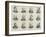 Members of the New London County Council-null-Framed Giclee Print