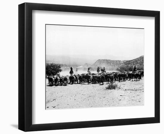 Members of the Northern Cheyenne Tribe of Montana's Tongue River Indian Reservation-null-Framed Photographic Print