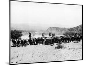 Members of the Northern Cheyenne Tribe of Montana's Tongue River Indian Reservation-null-Mounted Photographic Print