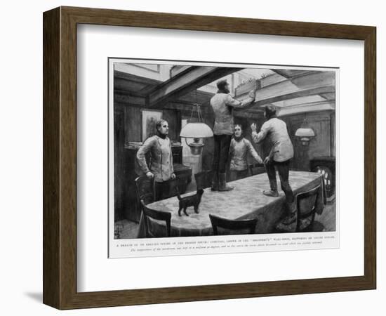 Members of the Shackleton and Scott "Discovery" Expedition of the Antarctic Grow Crocuses-null-Framed Art Print