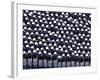 Members of the U.S. Air Force Academy-Stocktrek Images-Framed Photographic Print