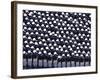 Members of the U.S. Air Force Academy-Stocktrek Images-Framed Photographic Print