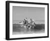 Members of the US Marine Raider Battalion Training in Landing Maneuvers Off Coast of San Diego-null-Framed Photographic Print