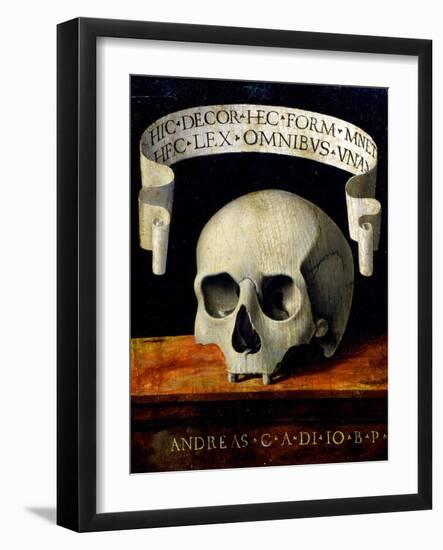 Memento Mori, Early 16th C-Andrea Previtali-Framed Giclee Print