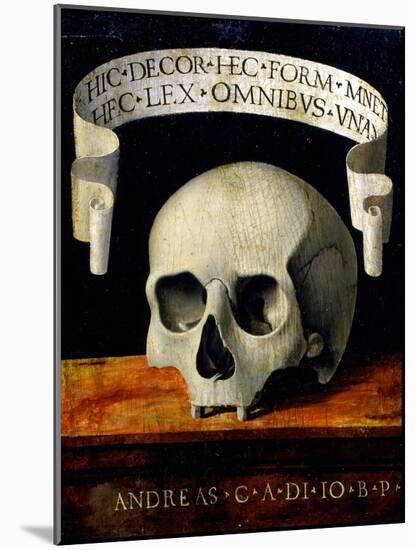 Memento Mori, Early 16th C-Andrea Previtali-Mounted Giclee Print