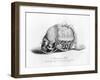 Memento-Mori Watch Presented by Mary Queen of Scots to Mary Seaton, 16th Century-CJ Smith-Framed Giclee Print