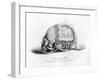 Memento-Mori Watch Presented by Mary Queen of Scots to Mary Seaton, 16th Century-CJ Smith-Framed Giclee Print