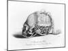 Memento-Mori Watch Presented by Mary Queen of Scots to Mary Seaton, 16th Century-CJ Smith-Mounted Giclee Print