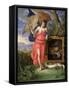 Memento Mori-Pieter Gysels-Framed Stretched Canvas