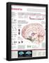 Essential Black