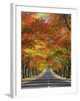 Memorial Avenue in Autumn, Mount Macedon, Victoria, Australia, Pacific-Schlenker Jochen-Framed Photographic Print