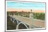 Memorial Bridge, Roanoke, Virginia-null-Mounted Art Print