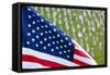 Memorial Day, Fort Indiantown Gap, Pennsylvania-Paul Souders-Framed Stretched Canvas