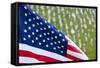 Memorial Day, Fort Indiantown Gap, Pennsylvania-Paul Souders-Framed Stretched Canvas