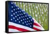 Memorial Day, Fort Indiantown Gap, Pennsylvania-Paul Souders-Framed Stretched Canvas