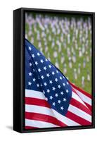 Memorial Day, Fort Indiantown Gap, Pennsylvania-Paul Souders-Framed Stretched Canvas