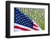 Memorial Day, Fort Indiantown Gap, Pennsylvania-Paul Souders-Framed Premium Photographic Print