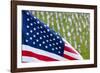 Memorial Day, Fort Indiantown Gap, Pennsylvania-Paul Souders-Framed Photographic Print