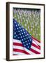 Memorial Day, Fort Indiantown Gap, Pennsylvania-Paul Souders-Framed Photographic Print