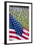 Memorial Day, Fort Indiantown Gap, Pennsylvania-Paul Souders-Framed Photographic Print