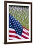 Memorial Day, Fort Indiantown Gap, Pennsylvania-Paul Souders-Framed Photographic Print