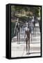 Memorial of the Victims of Communism, Prague, Bohemia, Czech Republic, Europe-Markus Lange-Framed Stretched Canvas