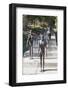 Memorial of the Victims of Communism, Prague, Bohemia, Czech Republic, Europe-Markus Lange-Framed Photographic Print