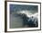 Memorial Paddle Out in Remembrance for Professional Surfer Andy Irons, Huntington Beach, Usa-Micah Wright-Framed Photographic Print