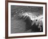 Memorial Paddle Out in Remembrance for Professional Surfer Andy Irons, Huntington Beach, Usa-Micah Wright-Framed Photographic Print