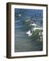 Memorial Paddle Out in Remembrance for Professional Surfer Andy Irons, Huntington Beach, Usa-Micah Wright-Framed Photographic Print