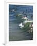 Memorial Paddle Out in Remembrance for Professional Surfer Andy Irons, Huntington Beach, Usa-Micah Wright-Framed Photographic Print