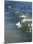 Memorial Paddle Out in Remembrance for Professional Surfer Andy Irons, Huntington Beach, Usa-Micah Wright-Mounted Photographic Print