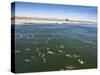 Memorial Paddle Out in Remembrance for Professional Surfer Andy Irons, Huntington Beach, Usa-Micah Wright-Stretched Canvas