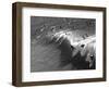 Memorial Paddle Out in Remembrance for Professional Surfer Andy Irons, Huntington Beach, Usa-Micah Wright-Framed Photographic Print