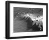 Memorial Paddle Out in Remembrance for Professional Surfer Andy Irons, Huntington Beach, Usa-Micah Wright-Framed Premium Photographic Print