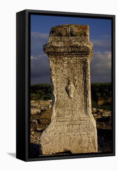 Memorial Stone with Aquarius in Relief, Ancient City of Cannae, Battle of Cannae, Puglia, Italy-null-Framed Stretched Canvas