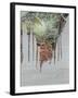 Memories II-Sandra Iafrate-Framed Art Print