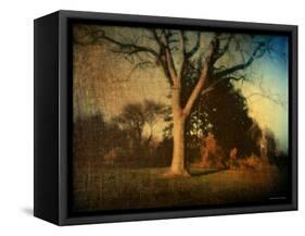 Memories of a Tree-Robert Cattan-Framed Stretched Canvas