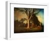 Memories of a Tree-Robert Cattan-Framed Photographic Print