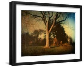 Memories of a Tree-Robert Cattan-Framed Photographic Print